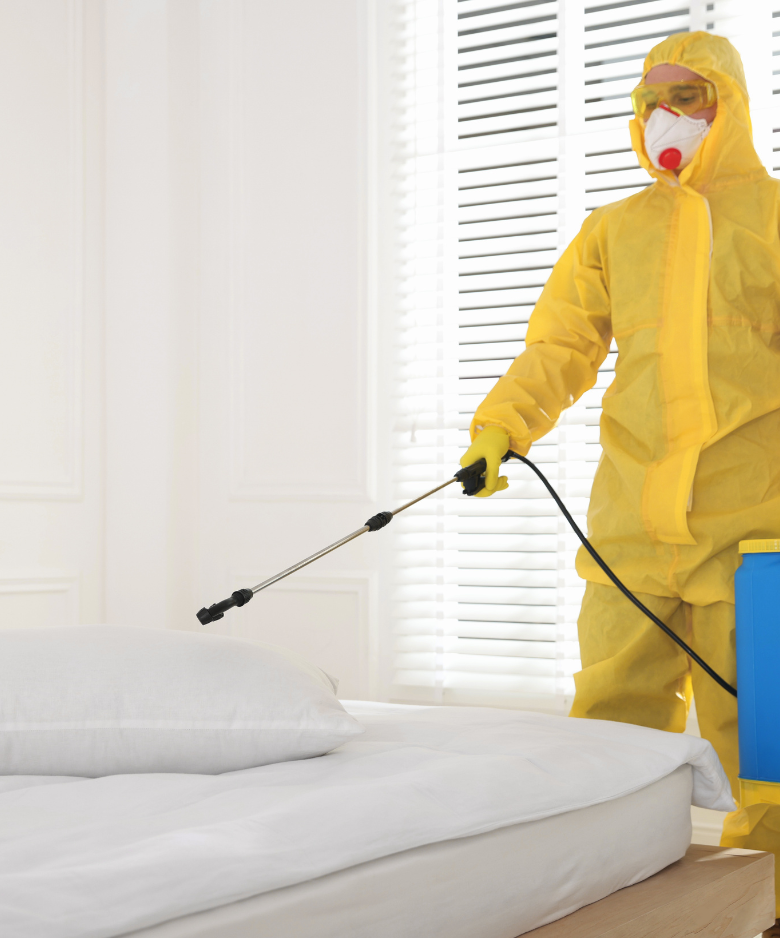 Professional Pest Control Team in Hendon